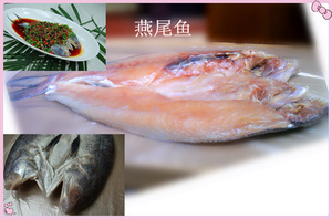 淡水养殖海鳝鱼 市场前景与供应链深度解析