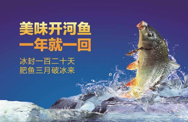 北京福利 | 西贝开河鱼，一年就等这一鲜！